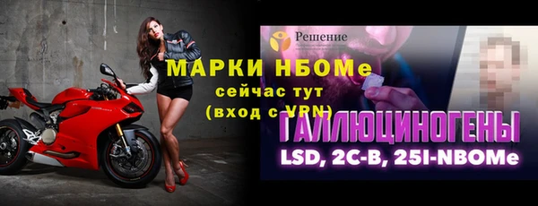 мяу мяу мука Алзамай