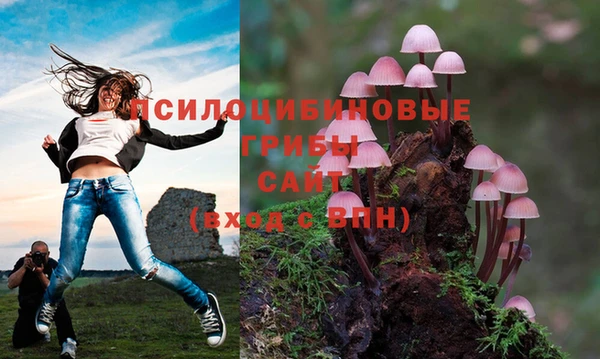 бошки Алексеевка