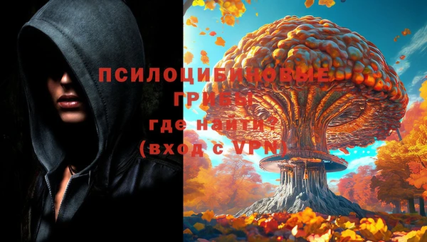 бошки Алексеевка