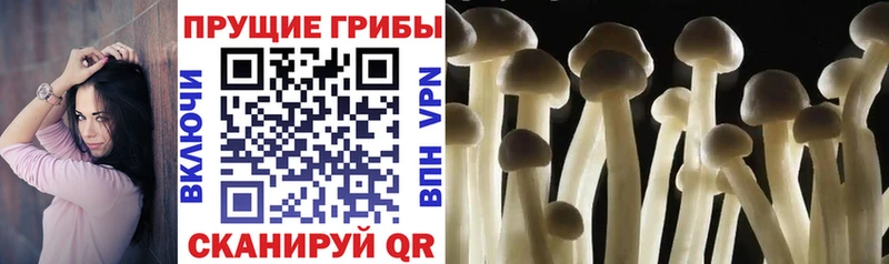 даркнет сайт  Фёдоровский  Псилоцибиновые грибы ЛСД 