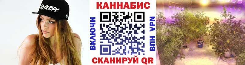 Каннабис гибрид  kraken   Фёдоровский  где купить наркотик 